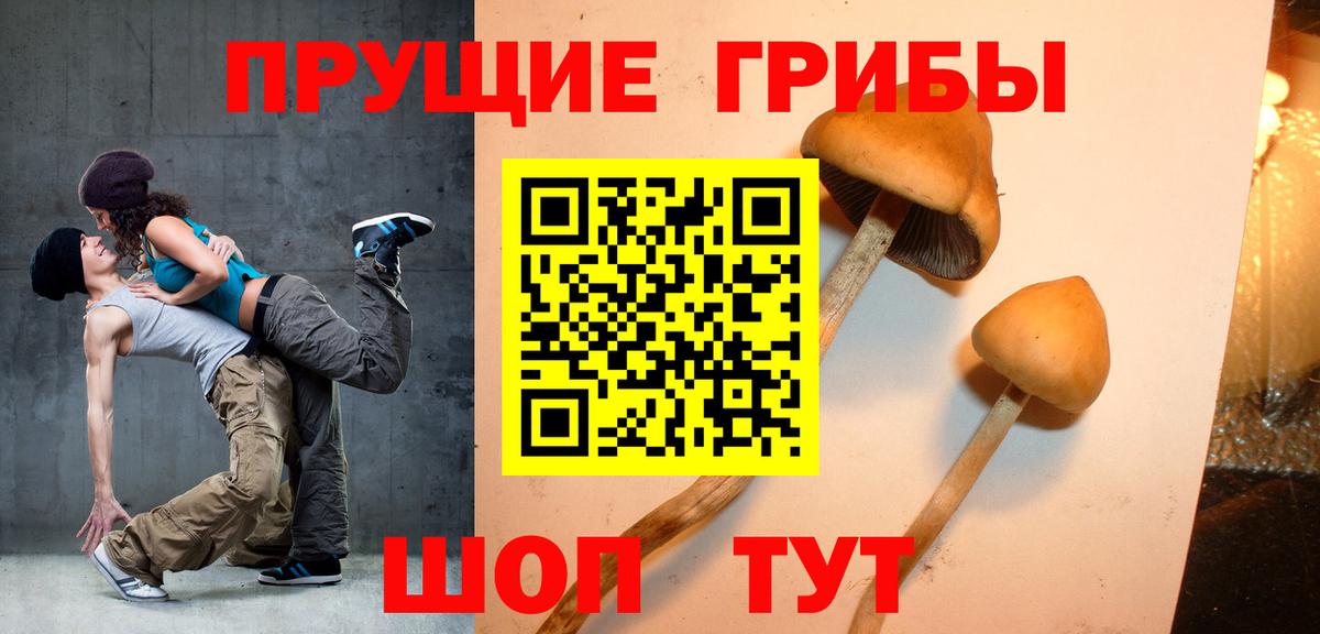 Калининград  Псилоцибиновые грибы Psilocybe  Псилоцибиновые грибы ЛСД  Вход с VPN 